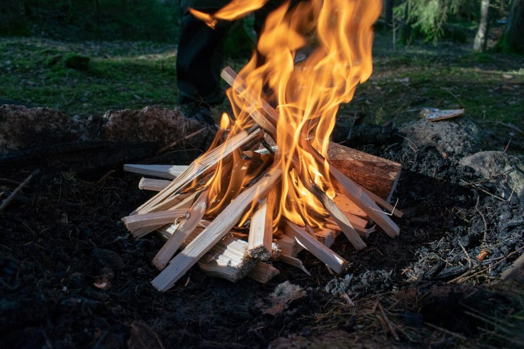 Close-up of a campfire with vibrant flames surrounded by a forest setting.